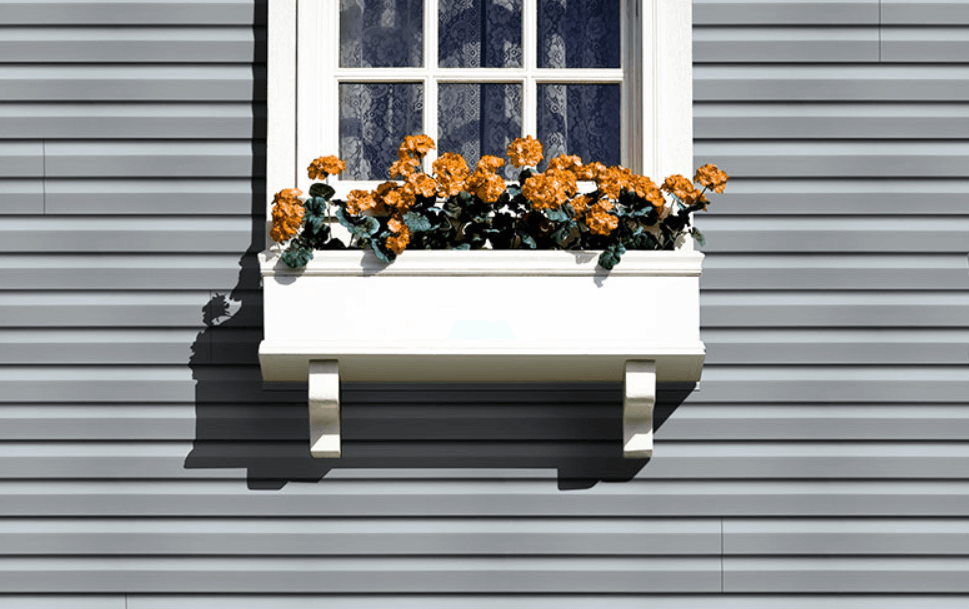 flowers below a window